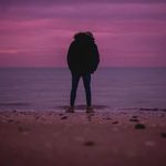 Peter Veitch - @peter_veitch - Instagram