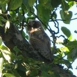Peter Vetter - @allround1965 - Instagram