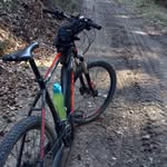 Peter Vitt - @pietvitt - Instagram
