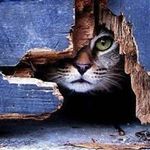 Peter Vogl - @vogl.ulm - Instagram