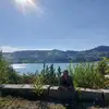 petervogler931 - @petervogler931 - TikTok