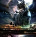 Peter Vollmer - Facebook