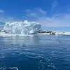 peterwadams - @peterwadams - TikTok