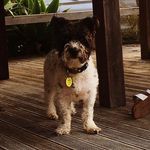 Peter Wake - @murphy_man895 - Instagram