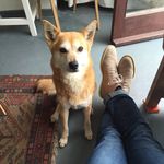 Peter Walker - @peter_x_walker - Instagram