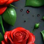 Peter Walker - Facebook