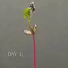 Peter Walker - @peter.walker90 - TikTok