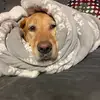 Maddawg676767 - @peter.walski - TikTok