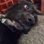 Peter Wallace - @peter.wallace.5 - Instagram