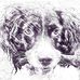 Peter Wallace - Facebook