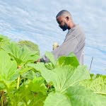 Peter Wallace Shemaya Mayamba - @mayambapeter - Instagram