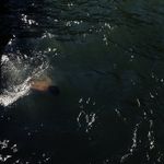 Peter Ward - @peter_ward - Instagram