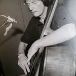 Peter Warren - @peterwarrenbass - Instagram