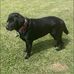 Peter Watler - Facebook