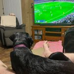 Peter Watler - @petew1960 - Instagram