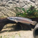 Peter Weaver - @channa_cz - Instagram
