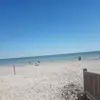 peterwebber56 - @peterwebber56 - TikTok