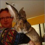 Peter Weber - @peterweber373 - Instagram