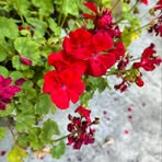 Peter Wegner - Facebook