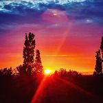Peter Wegner - @peter.wegner.169 - Instagram