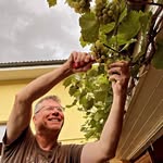 Peter Wehner - @pewehner - Instagram