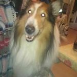 Peter Wehr - @peterwehr - Instagram