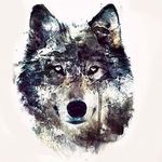 Peter Wehrmann - @peter_wehrmann - Instagram