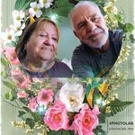 Peter Wehrmeister - @wehrmeisterpeter - Instagram