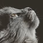 Peter Weigel - @pweigel521 - Instagram
