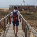 Peter Weigel - @tamox78ed - Instagram
