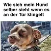 Peter Weil - @peter.weil1 - TikTok