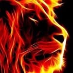 Peter Weil - @flamingpanda100 - Instagram