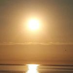 Peter Weiler - @weiler.peter1963 - Instagram
