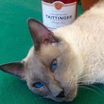 Peter A. Weinstock - @peter.a.weinstock - Instagram