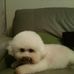 Peter Welsby - Facebook