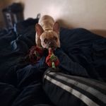 Peter Welsby - @manu.nted2 - Instagram
