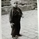Peter Wenzel - @wenzel4488 - Instagram
