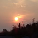 Peter Wenzel - @peter.wenzel.790 - Instagram