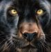 Peter West - Facebook