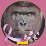 Peter Wester - @peter_wester0159 - Instagram