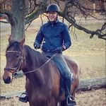 Peter Westin - @w.e.s.t.i.n.p.e.t.e.r - Instagram
