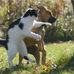 Peter Whitfield - Facebook