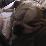 Peter Whitfield - @whitfield4527 - Instagram