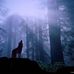 Peter Whitfield - Facebook