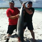 Peter Whiting - @homerbear1 - Instagram
