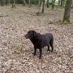 Peter Wichers - @wicherspeter - Instagram