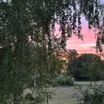 Peter Wickman - @wicke72 - Instagram
