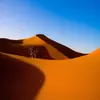 Peter Wernick - @peterwernick - TikTok