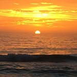 Peter Wiggins - @peter.wiggins.94 - Instagram