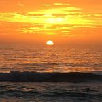 Peter Wiggins - @peter.wiggins.94 - Instagram